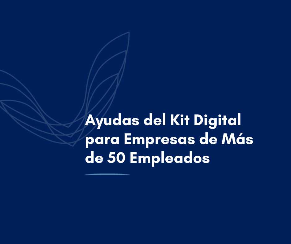 Ayudas del Kit Digital para Empresas de Más de 50 Empleados